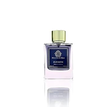 Amazon.com : Paris Corner 100ml Ministry of Oud - Oud Satin